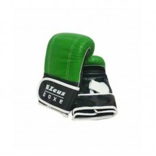 Уредни Боксови Ръкавици ZEUS Guantoni Training Verde